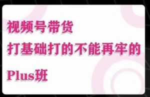 大播汇·视频号带货Puls班,视频号底层逻辑,起号自然流鱼塘等玩法_乐帮资源库