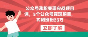 公众号涨粉变现实战项目课,5个公众号变现项目,实测涨粉23万_乐帮资源库