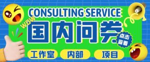 最新工作室内部国内问卷调查项目，单号轻松日入30+多号多撸【详细玩法教程】_乐帮资源库