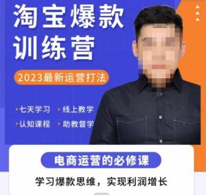 爱上黄昏·淘宝爆款训练营，2023最新运营打法，学习爆款思维，实现利润增长_乐帮资源库