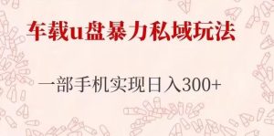 车载u盘暴力私域玩法,长期项目,仅需一部手机实现日入300+_乐帮资源库