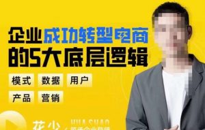 企业成功转型电商的5大底层逻辑,从模式、数据、用户、产品、营销5大板块,助你高效转型电商赛道_乐帮资源库