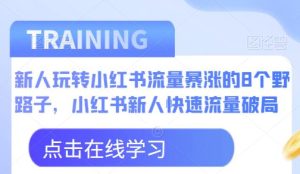 新人玩转小红书流量暴涨的8个野路子，小红书新人快速流量破局_乐帮资源库