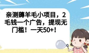 亲测薅羊毛小项目,2毛钱一个广告,提现无门槛!一天50+【揭秘】_乐帮资源库