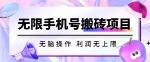 无脑搬砖项目-无限接码撸红包收益无上限【揭秘】_乐帮资源库