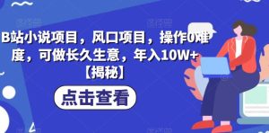 B站小说项目,风口项目,操作0难度,可做长久生意,年入10W+【揭秘】_乐帮资源库