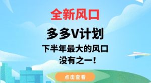 全新风口,多多V计划,下半年最大的风口项目,没有之一【揭秘】_乐帮资源库