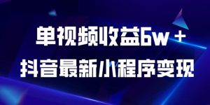 抖音最新小程序变现项目,单视频收益6w+,小白可做【揭秘】_乐帮资源库