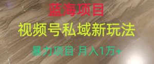 蓝海项目,视频号私域新玩法,暴力项目月入1万+【揭秘】_乐帮资源库