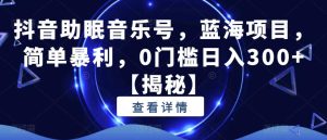抖音助眠音乐号,蓝海项目,简单暴利,0门槛日入300+【揭秘】_乐帮资源库