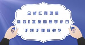 全新红利项目，适合0基础的新手小白，手把手课程教学【揭秘】_乐帮资源库