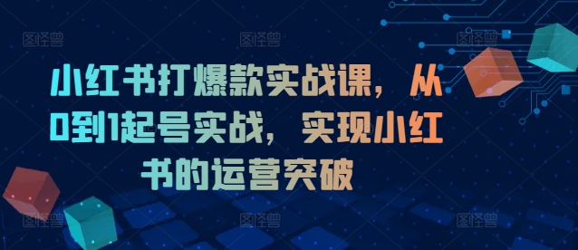 小红书打爆款实战课，从0到1起号实战，实现小红书的运营突破_乐帮资源库