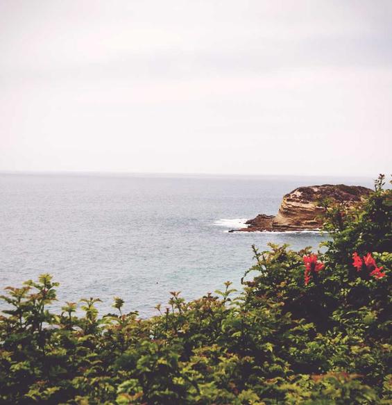 图片[4]_开源H5盲盒商城源码系统4.0|vue+TP5php框架开发开源网站+安装教程_乐帮资源库