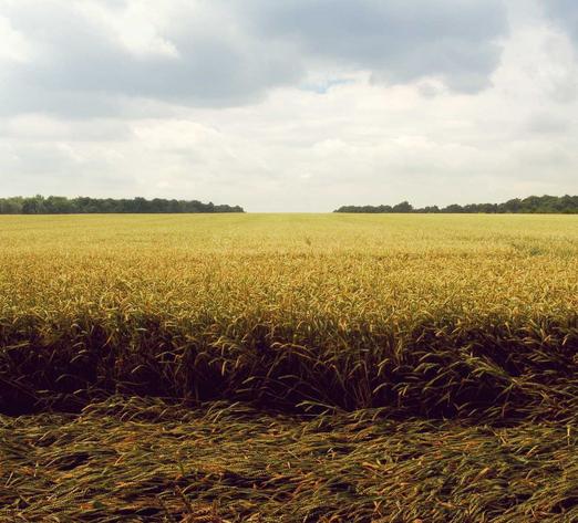 -04-192023最新ChatGPT网站源码/支持用户付费套餐+赚取收益_乐帮资源库