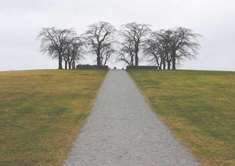 -01-28卡密社区SUP系统总控源码+主站分销系统功能源码_乐帮资源库