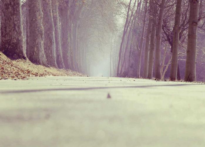 -04-152023全新UI彩虹站长在线工具箱系统源码下载 全开源版本_乐帮资源库