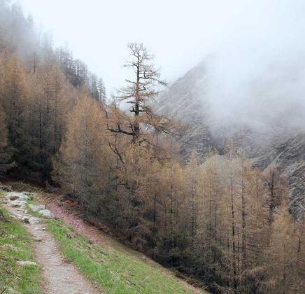 -04-15全新热搜热门榜内容系统聚合源码_乐帮资源库