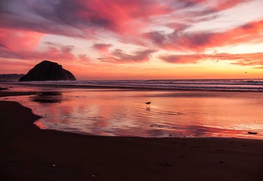 2022新版海螺影视主题模板M3.1全解密版本  多功能苹果CMSv10自适应主题_乐帮资源库