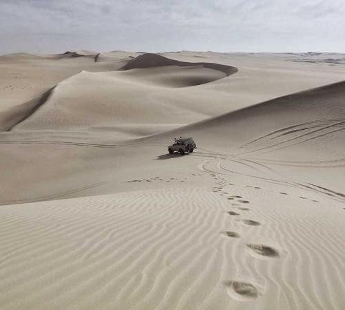 -06-28音乐发行平台无加密开源源码_乐帮资源库