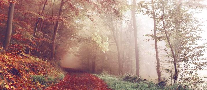 -04-142023全新借贷APP系统源码 独立uni前端 java后端 全开源_乐帮资源库