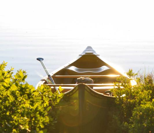 -04-132023最新墨鱼AI导航系统网站源码 AI站点分类 AI工具集合精选源码_乐帮资源库