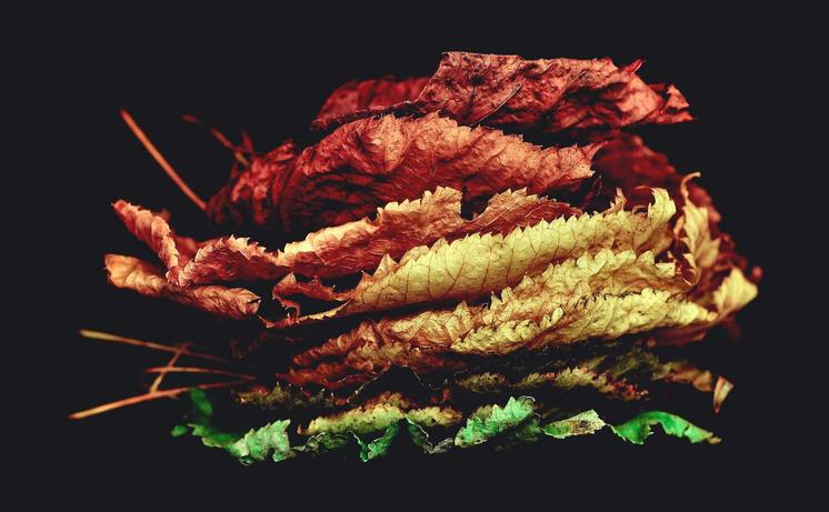 2022最新 wifi大师小程序独立版3.0.8_乐帮资源库