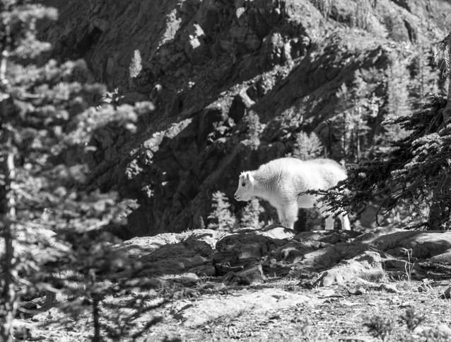 实用的php单页加密_网页加密源码，附四种模板风格_乐帮资源库