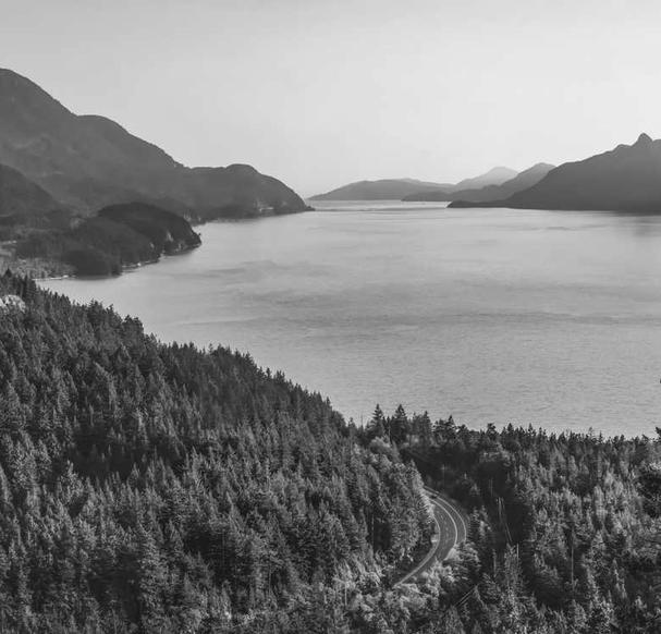 -09-10专业级AI智能文章伪原创工具 在线伪原创文章系统_乐帮资源库