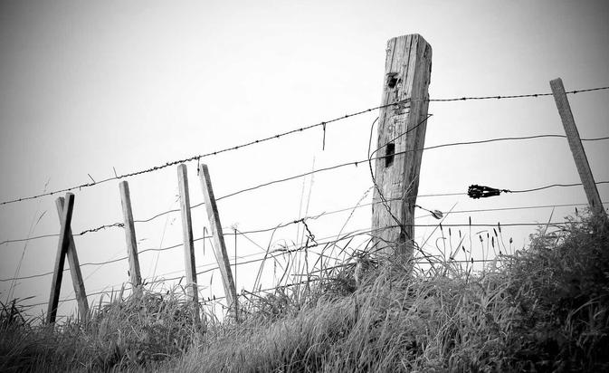 -09-06在线图片处理工具 多功能编辑格式转换HTML源码_乐帮资源库