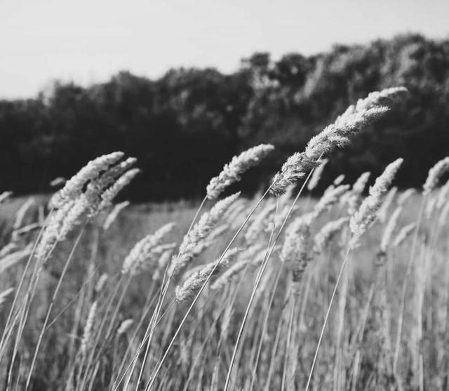 -06-102024最新版视频短剧SAAS系统源码 影视短剧小程序源码_乐帮资源库