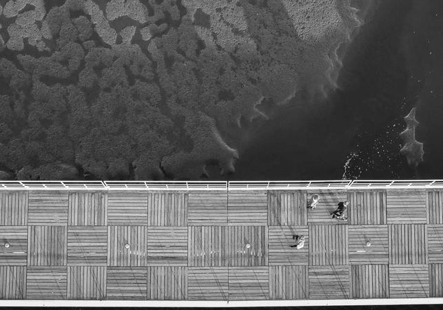 -11-20最新网络游戏账户交易平台系统源码 全开源版本 全新UI_乐帮资源库