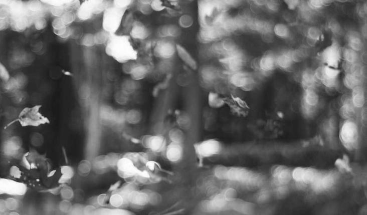 新游戏:《蔡徐坤打飞机》网页小游戏源码_乐帮资源库